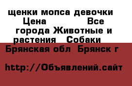 щенки мопса девочки › Цена ­ 25 000 - Все города Животные и растения » Собаки   . Брянская обл.,Брянск г.